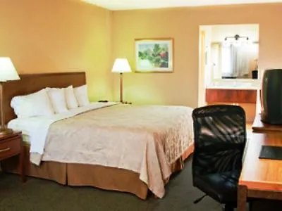 Hotel Western Cottonwood